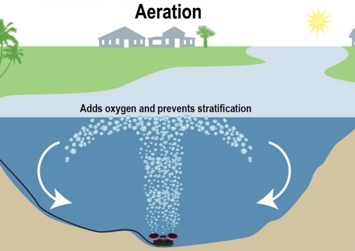 Solutions For Summer Algal Blooms Solutions For Summer Algal Blooms